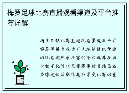 梅罗足球比赛直播观看渠道及平台推荐详解
